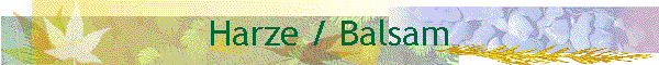 Harze / Balsam