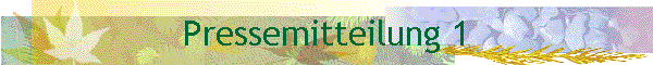 Pressemitteilung 1