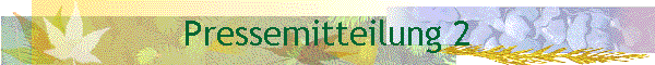 Pressemitteilung 2