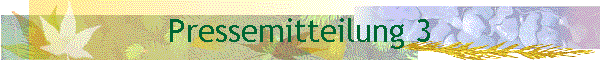 Pressemitteilung 3